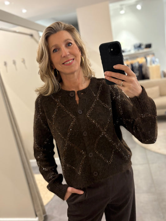 Myraclex vest sparkle ruit bruin/zilver