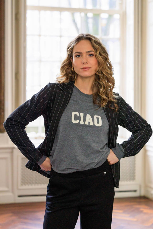 Ivy Beau sweater Remi grey melange