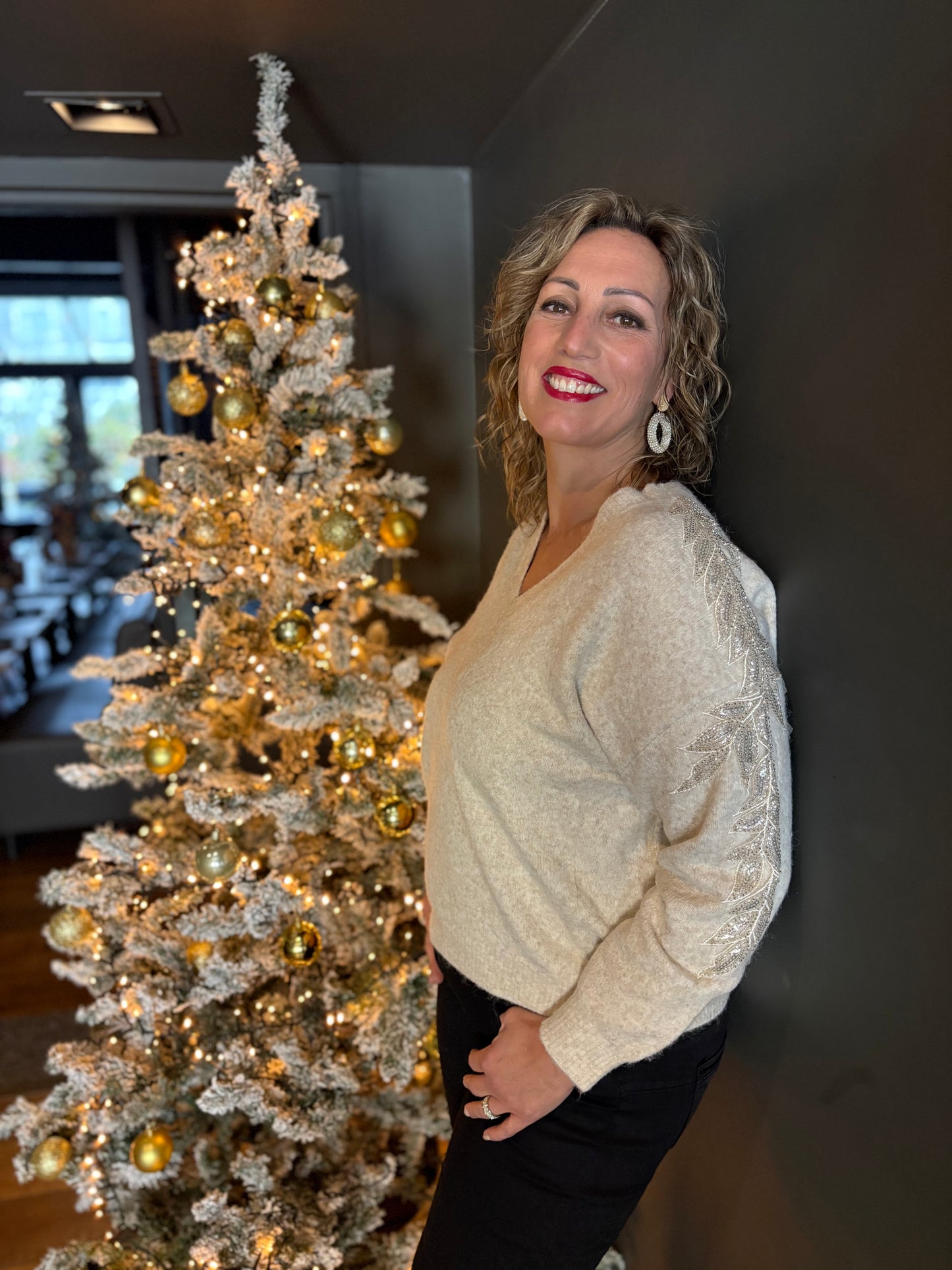 Moëwy trui V-hals glitter/borduur mouwen zand melange