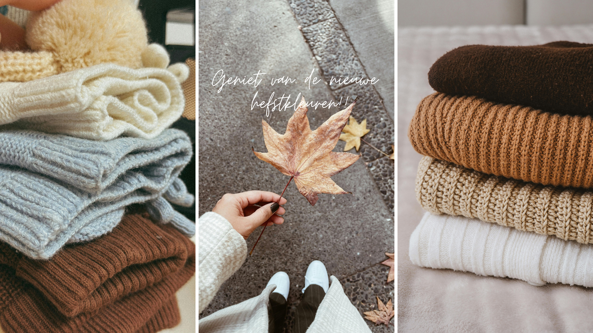 homepage herfst
