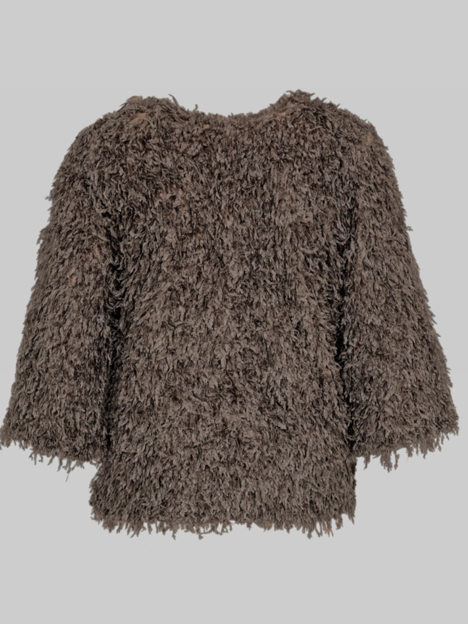 Freequent top Nola morel